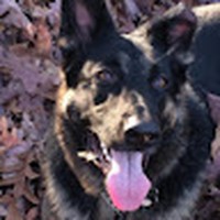Profile Picture of Mike Picozzi (@mike-picozzi-1) on Quora