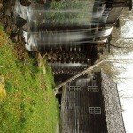 Profile Picture of Isaacs (@ageerts4hartling) on Instagram