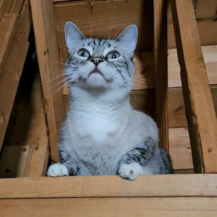 Profile Picture of William Heath (@williamheath78) on Tiktok