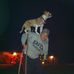 Profile Picture of Brian Leinhauser (@brian.leinhauser.3) on Facebook