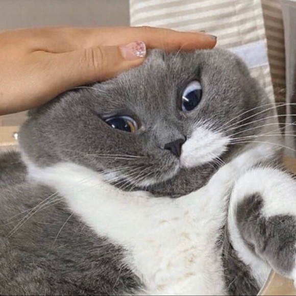 Profile Picture of Hwee Yee (@hweeyee) on Poshmark