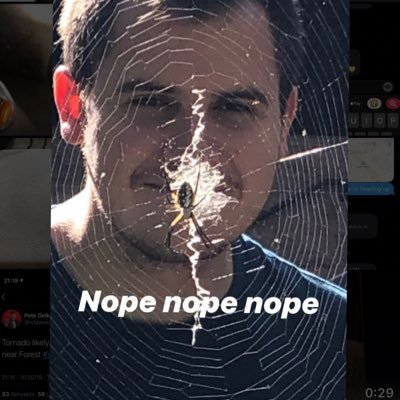 Profile Picture of Matt Hansen (@StoneRanger) on Twitter
