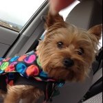 Profile Picture of Vicki Patterson (@vickidp) on Instagram