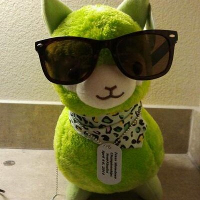 Steve(SA Jin) - Twitter Profile Picture of Steve(SA Jin) (@shakelordsteve) on Twitter