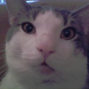 Profile Picture of Spinky Claxton (@spinky.ivory) on Myspace