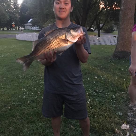 Profile Picture of Cheng Xiong (@pcx) on Poshmark