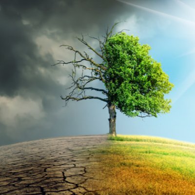 Profile Picture of Wesley Steele (@ClimateMattersW) on Twitter