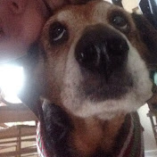 Profile Picture of Daniel Prime (@danielprime6389) on Youtube