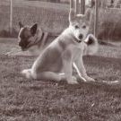 Profile Picture of Jayne Duncanson-Proctor (@jaynepp) on Pinterest