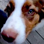 Profile Picture of db73 (@denis.bertrand) on Instagram