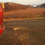 Adam Miller - Instagram Profile Picture of Adam Miller (@millhouse_213) on Instagram