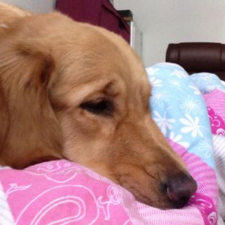 Profile Picture of Jim Dady (@Jim-Dady) on Facebook