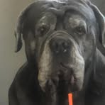 Chris Berarducci - Facebook Profile Picture of Chris Berarducci (@Chris-Berarducci) on Facebook