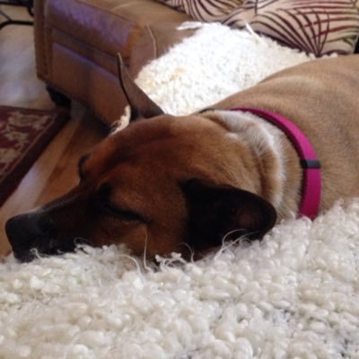 Profile Picture of Robin Neill (@RobinNeill2) on Twitter
