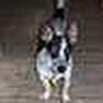 Profile Picture of David Buras (@davidburas) on Flickr