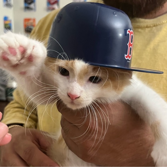 Profile Picture of Steven Pacheco (@vintagestevie) on Poshmark