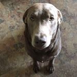 Profile Picture of Jon Peeples (@peeplesjon) on Instagram
