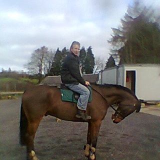 Profile Picture of Horsey Joe (@horsey.joe) on Facebook