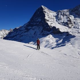 Profile Picture of Daniel Biddulph (@danielbiddulph19) on Pinterest