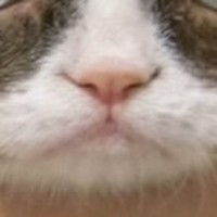 Alexa Hudson - Quora Profile Picture of Alexa Hudson (@alexa-hudson-20) on Quora