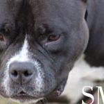 Profile Picture of Robert Fluker (@fluker.robert_smb_bama) on Instagram