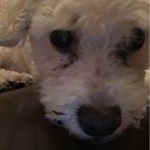 Profile Picture of James Pearn (@ihdfkn) on Instagram