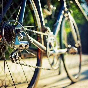 Daniela Quesada - Twitter Profile Picture of Daniela Quesada (@danielaquesadaj) on Twitter