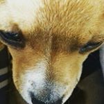 Profile Picture of Leonor Basagoitia (@leobasagoitiat) on Instagram