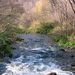 Profile Picture of Paul Jurgensen (@pauljurg1961) on Pinterest