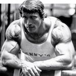 Profile Picture of Arnold Nation 💪 (@arnoldnation) on Instagram