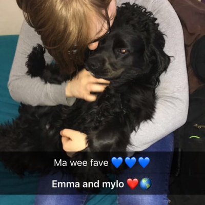 Profile Picture of Jay Hanley (@JayHanley5) on Twitter