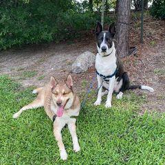 Profile Picture of michaelbrow456 (@michaelbrow456) on Tiktok