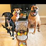 Profile Picture of Leonidas, Calypso & Gracie Lou (@leo.caly.gracie) on Instagram