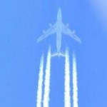 Profile Picture of Erik Niemann (@erik_global) on Instagram