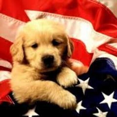 Profile Picture of James Dillinger (@jmsdilling) on Twitter