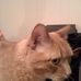 Profile Picture of Cheddar Federline (@cheddar.federline) on Facebook