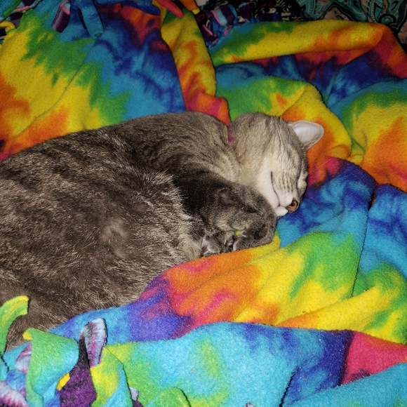 Katie Heruth - Poshmark Profile Picture of Katie Heruth (@katie_scarlett2) on Poshmark