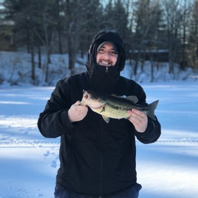 Profile Picture of Matthew Perritt (@matthew_perritt) on Twitter