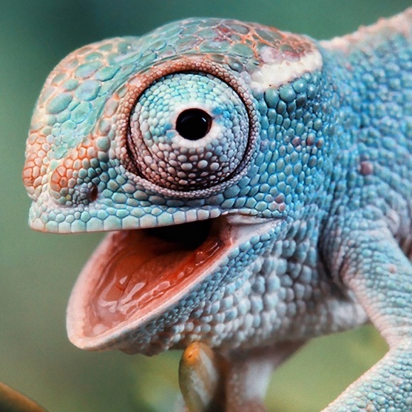 Profile Picture of Andrea Savrda (@andreasmile) on Poshmark