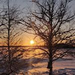 Profile Picture of Michael Siebel (@msieb.el) on Instagram