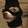 Profile Picture of cb (@colinbecker5) on Tiktok