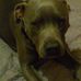 Profile Picture of Kevin Kuzmich (@Kevin-Kuzmich) on Facebook