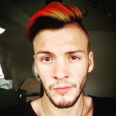 Profile Picture of Chris Sailer (@NerfStranger) on Twitter
