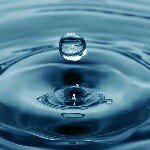 Profile Picture of Thomas Capelton (@tcapelton) on Instagram