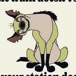 Profile Picture of James Mackie (@james.mackie.10004) on Instagram