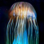 recent Adams - Instagram Profile Picture of recent Adams (@recentadams) on Instagram