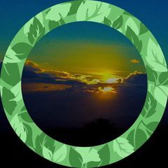 Profile Picture of Randy Heerer (@randy.heerer) on Tiktok