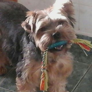 Profile Picture of Alice Geniere (@alice.geniere.9) on Facebook