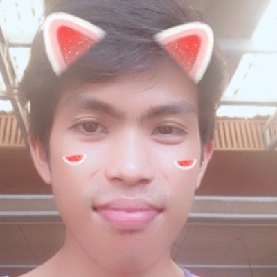 Profile Picture of Joel Labrador 12345678910 (@Joellabrador121) on Twitter