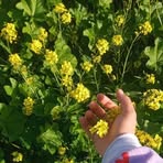 Profile Picture of Laila Bed (@Laila-Bed) on Facebook